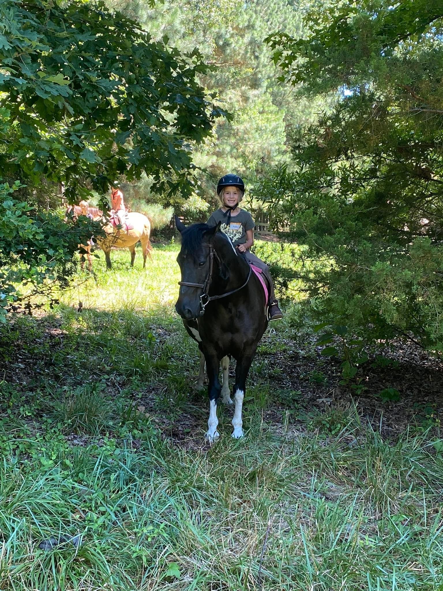 Tall Cedars Farm